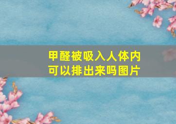 甲醛被吸入人体内可以排出来吗图片