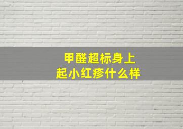 甲醛超标身上起小红疹什么样