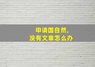 申请国自然,没有文章怎么办