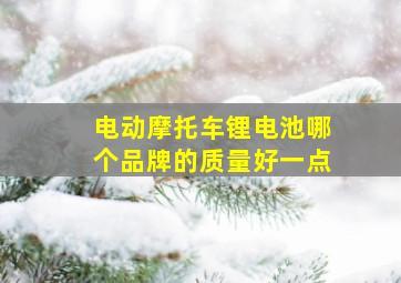 电动摩托车锂电池哪个品牌的质量好一点