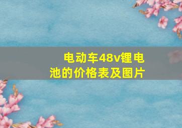 电动车48v锂电池的价格表及图片