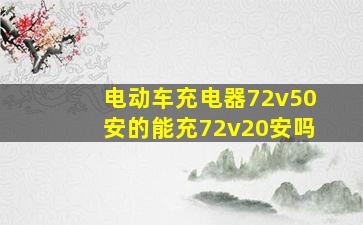 电动车充电器72v50安的能充72v20安吗