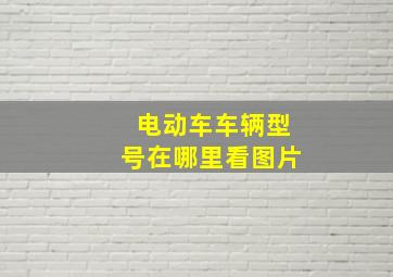 电动车车辆型号在哪里看图片