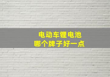 电动车锂电池哪个牌子好一点