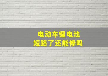 电动车锂电池短路了还能修吗