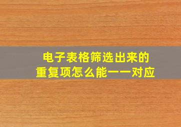 电子表格筛选出来的重复项怎么能一一对应