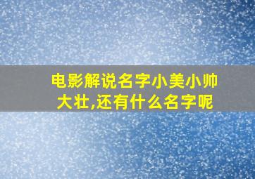 电影解说名字小美小帅大壮,还有什么名字呢