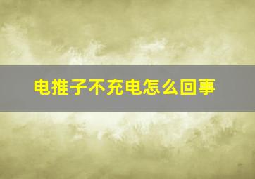 电推子不充电怎么回事