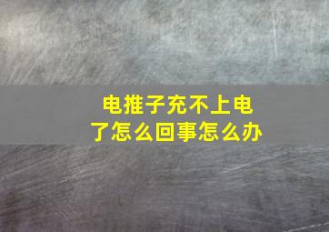 电推子充不上电了怎么回事怎么办