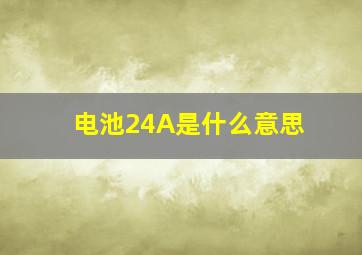 电池24A是什么意思