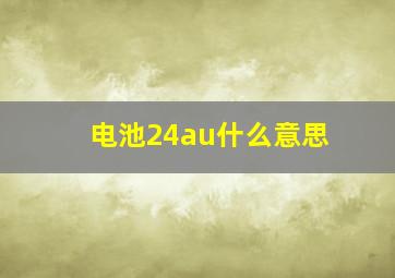 电池24au什么意思