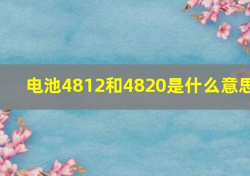 电池4812和4820是什么意思