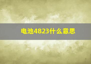 电池4823什么意思