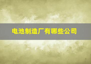 电池制造厂有哪些公司