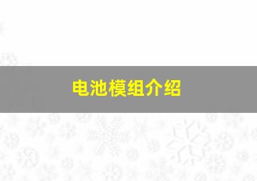 电池模组介绍