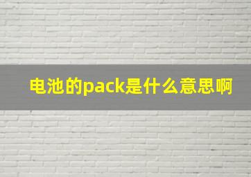 电池的pack是什么意思啊