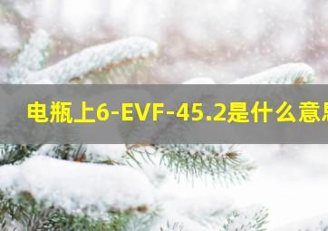 电瓶上6-EVF-45.2是什么意思