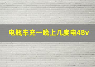 电瓶车充一晚上几度电48v