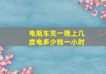 电瓶车充一晚上几度电多少钱一小时