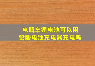 电瓶车锂电池可以用铅酸电池充电器充电吗