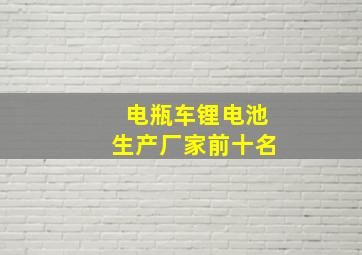 电瓶车锂电池生产厂家前十名