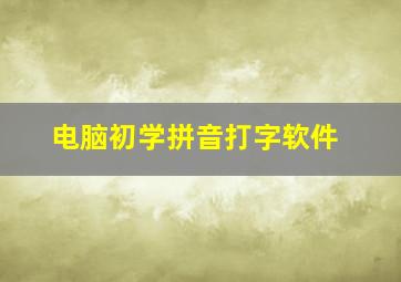 电脑初学拼音打字软件