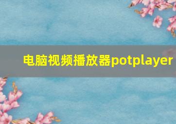 电脑视频播放器potplayer