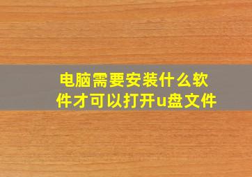 电脑需要安装什么软件才可以打开u盘文件