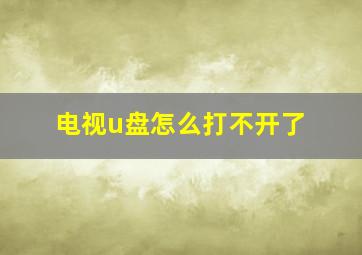 电视u盘怎么打不开了