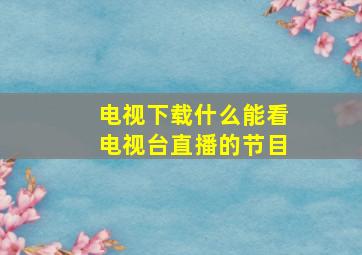 电视下载什么能看电视台直播的节目