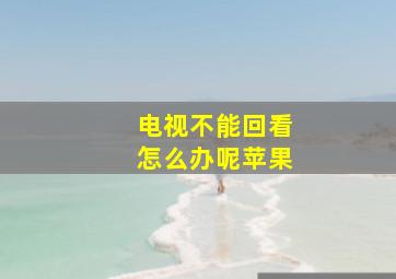 电视不能回看怎么办呢苹果