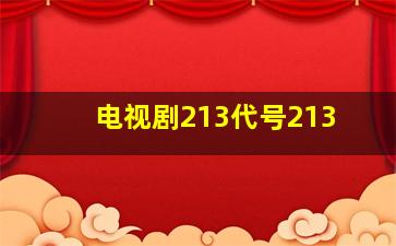 电视剧213代号213