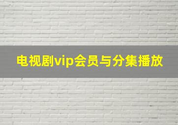 电视剧vip会员与分集播放