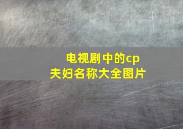 电视剧中的cp夫妇名称大全图片