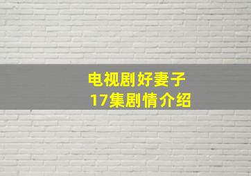 电视剧好妻子17集剧情介绍