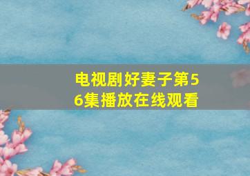 电视剧好妻子第56集播放在线观看