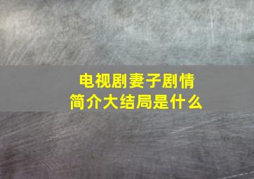 电视剧妻子剧情简介大结局是什么