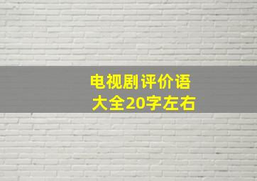 电视剧评价语大全20字左右