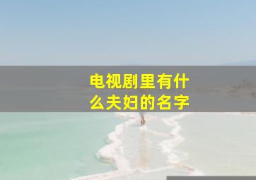 电视剧里有什么夫妇的名字