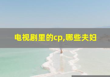 电视剧里的cp,哪些夫妇