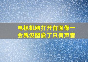 电视机刚打开有图像一会就没图像了只有声音