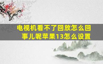 电视机看不了回放怎么回事儿呢苹果13怎么设置