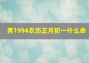 男1994农历正月初一什么命