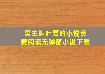 男主叫叶慕的小说免费阅读无弹窗小说下载