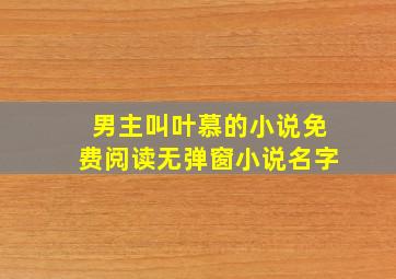 男主叫叶慕的小说免费阅读无弹窗小说名字