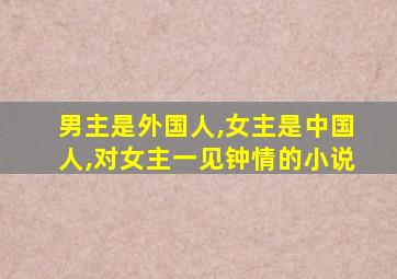 男主是外国人,女主是中国人,对女主一见钟情的小说