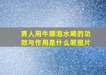 男人用牛膝泡水喝的功效与作用是什么呢图片