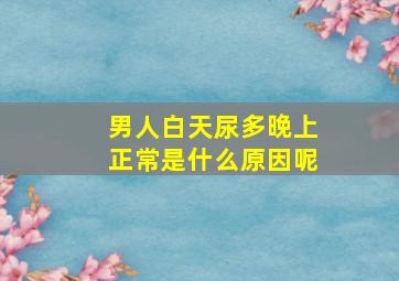 男人白天尿多晚上正常是什么原因呢