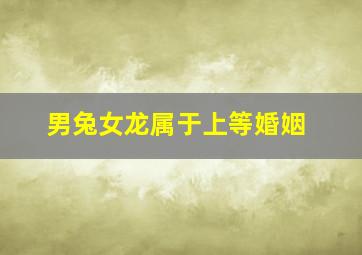 男兔女龙属于上等婚姻