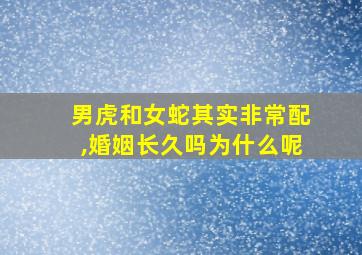 男虎和女蛇其实非常配,婚姻长久吗为什么呢